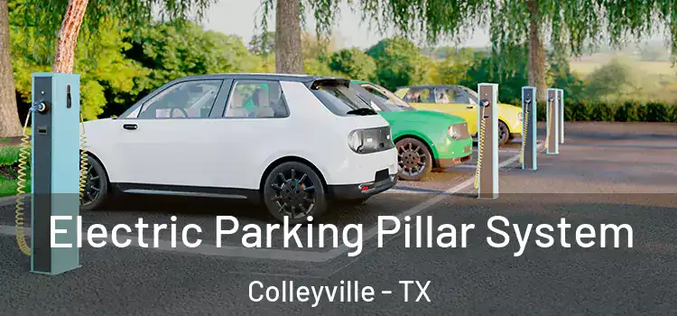  Electric Parking Pillar System Colleyville - TX