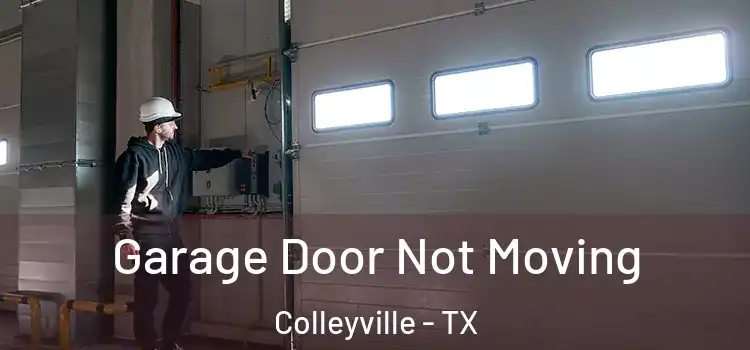  Garage Door Not Moving Colleyville - TX