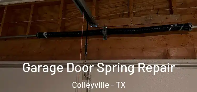  Garage Door Spring Repair Colleyville - TX