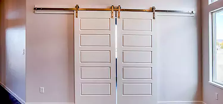 Glass Barn Door with Installation Hardware Kit Colleyville
