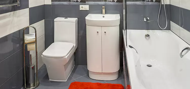 Hansgrohe Shaving Mirror Colleyville