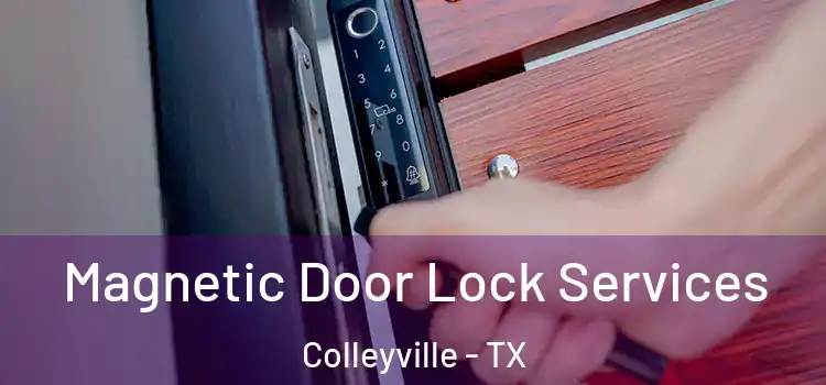 Magnetic Door Lock Services Colleyville - TX